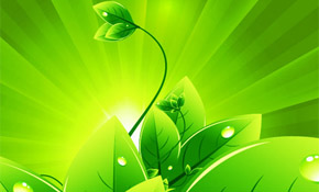 Vector Background with Green Leaves